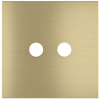 Square magnetic plate for a 2-rocker push button Proxima series Metal Brass