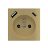 2 USB port (Type A+TypeC) painted Square Cover FR socket (55x55) Metal Brass 26