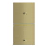 Kit 2 rockers FF square (40x40) for EF2 with symbols Metal Brass 26