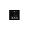 Rithum plugin professional BluOS Multi-room