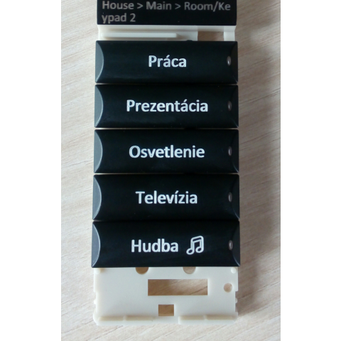 Zakázkově gravírované tlačítko (1 ks)