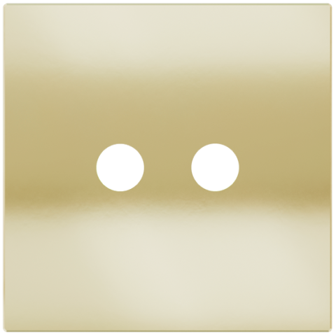 Square magnetic plate for a 2-rocker push button Proxima series Metal Champagne