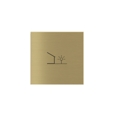Kit 1 rocker FF (Form/Flank/NF) Square (40x40) with symbols Metal Brass 26