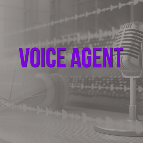 Driver Voice Agent, mluvená upozornění v češtině